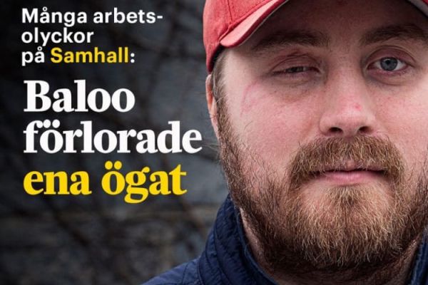 Baloo förlorade sitt ena öga – en av ovanligt många arbetsolyckor på Samhall