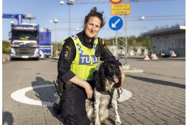 Här har tullen tagit över tusen explosiva varor bara i år